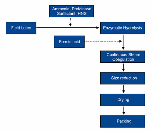 Processing Flow Chart - Deproteinised Natural Rubber (DPNR)