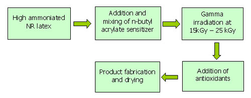 Radiation vulcanized NR latex 
