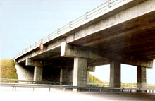 Bridge Bearing Bridge